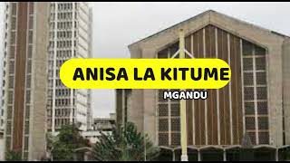 Kanisa la Kitume  John Mgandu  Lyrics video [upl. by Navoj152]