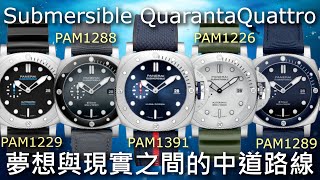 【新錶懶人包】PANERAI 沛納海 Submersible QuarantaQuattro 44mm潛水錶 1226 1229 1288 1289 1391 [upl. by Ingram]