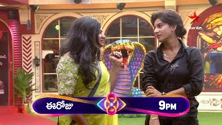 Bigg Boss Telugu 8  Day 70  Promo 1  Unforgettable Hilarious Moments 🤣 Nagarjuna  Star Maa [upl. by Melinde879]