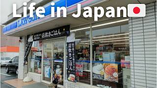 Vlog Daily life in Japan 🇯🇵 Grocery shopping at convenience stores LAWSON [upl. by Tiat]