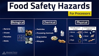 HACCP Food Safety Hazards [upl. by Tomasz878]