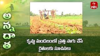 Tips for cotton farming in krishna zone  ETV [upl. by Anelys]