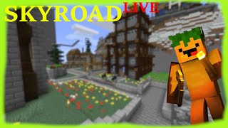 🔴 Minecraft SMP Server 1204  Endlich mal wieder auf skyroad [upl. by Ained]