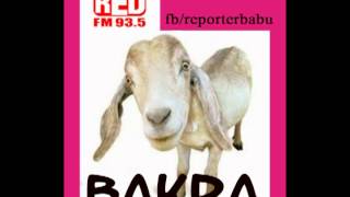 RED fm bakra with rj raj Id Proof 10th may telugu phone comedy [upl. by Barra]