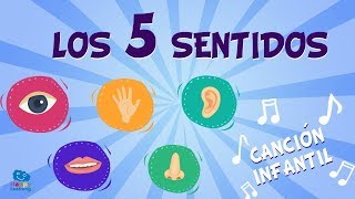 Los 5 sentidos  Canciones Educativas para Niños [upl. by Katha]