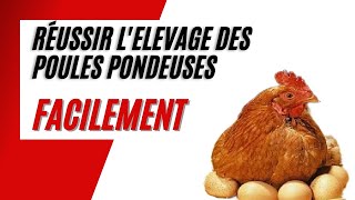 Comment Bien Débuter lElevage des Poules Pondeuses en 5 Etapes [upl. by Lilak]