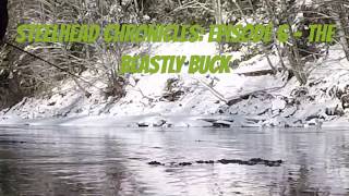 MASSIVE Winter Steelhead on the FLY INTENSE  Skeena Watershed [upl. by Yelsek]