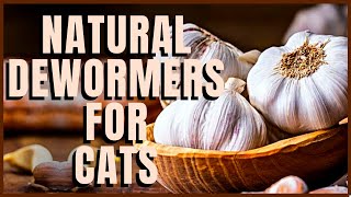 Natural Dewormers For Cats [upl. by Nae]