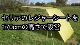 【百均キャンプ】セリアのレジャーシートとダイソーのつっぱり棒を使って170cmの高さで設営 [upl. by Thunell]