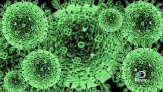 The H1N1 Swine Flu A Look Inside [upl. by Esch]