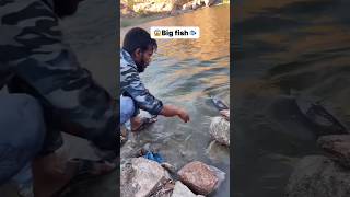 Yel ladka katal fish pakd raha hai mere bhaifishing fishingtutorialmachhri [upl. by Afital]