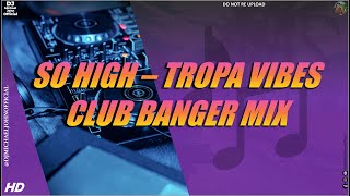 SO HIGH  TROPA VIBES CLUB BANGER Dj Michael John Remix [upl. by Laris]