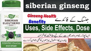 Siberian ginseng benefits in Hindi Uses Side effects Dosage sexually [upl. by Idurt]