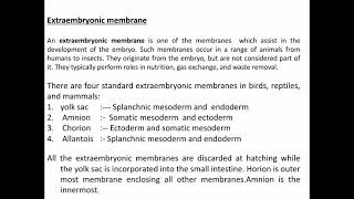 Extraembryonic membranes of chick [upl. by Epuladaugairam]