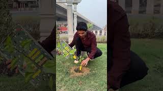 Planting 1 Lakh Trees 🌳 shortsfeed socialwork treeplanting [upl. by Matias342]