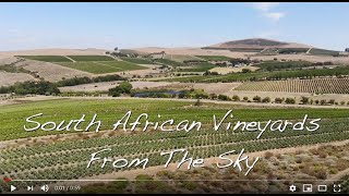 South African Vineyards From The Sky [upl. by Nyret288]