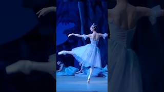 Svetlana Zakharova  バレエ balet ballett balletto ballet [upl. by Mathews]