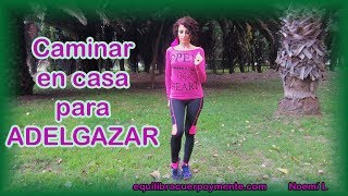 Caminar en casa para adelgazar  Cardio para principiantes para bajar de peso de bajo impacto [upl. by Toy]