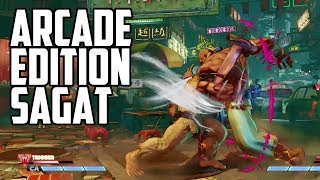 SFVAE SAGAT Combo Video [upl. by Aititil861]