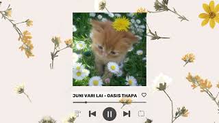 Juni Vari Lai  Oasis Thapa  Audio [upl. by Eyeleen]