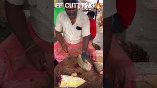 KASIMEDU 🔥 MINNAL RAJA YELLOW TREVALLY FISH CUTTING VIDEO kasimedufishcutting youtubeshorts [upl. by Bert]