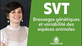 Brassages génétiques et variabilité des espèces animales  SVT  Terminale  Les Bons Profs [upl. by Naek]