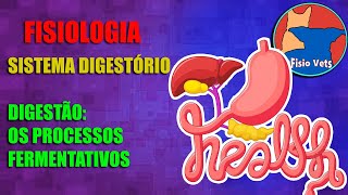 Sistema digestório  Digestão Os processos fermentativos  Fisiologia veterinária  Aula 5 [upl. by Gnuoy]