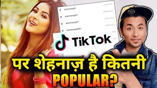 How Much Popular Is Shehnaz Gill On TIK TOK [upl. by Alderman]