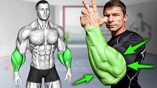 5 Best Exercises for Bigger Forearms Workout [upl. by Lytsirk]