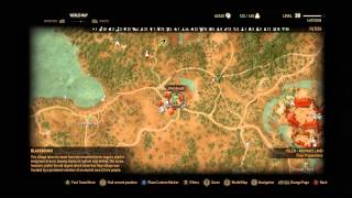 The Witcher 3 Act 3  More Alchemy and Crafting Tips Rebis [upl. by Asoral]