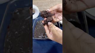 BEST Chocolate Cake Recipe  Do give it a try  The Chaotic Ramble  chocolate cake chocolatecake [upl. by Reddy]