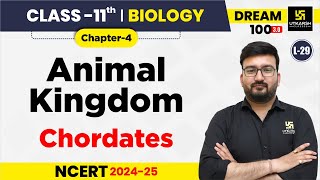 Class 11 Biology Chapter 4  Animal Kingdom  Chordates  L29  Shubham Sir [upl. by Anileve353]