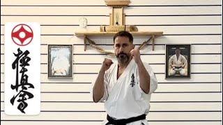 Kumite No Kamae Oi Ashi Okuri Ashi Fumi Ashi Kosa [upl. by Alurta441]