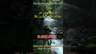 Surah No 2 Al Baqarah Ayat 5456Tarjuma in Urdu Status shorts kanzulimaan quran islamicstatus [upl. by Fagen792]