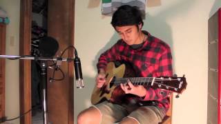 Krewella  Alive Acoustic Version Cover by Cole Kawika [upl. by Ahseken285]