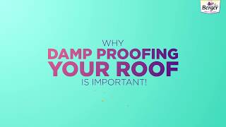 Why damp proofing your roof is important [upl. by Irrej]