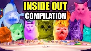 CAT MEMES CATs IN INSIDE OUT COMPILATION [upl. by Secilu]