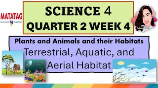 SCIENCE 4 QUARTER 2 WEEK 4 HABITATS OF PLANTS AND ANIMALS MATATAG CURRICULUM science4quarter2week4 [upl. by Kcirreg]