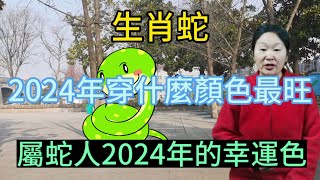 生肖屬相蛇！屬蛇人在2024年穿什麼顏色最旺？生肖屬蛇人2024年幸運色是什麼！本期視頻講述2024生肖蛇！運勢 顏色 風水 2024 [upl. by Elockin]