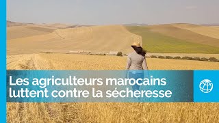 Les agriculteurs marocains luttent contre la sécheresse grâce à de meilleures pratiques agricoles [upl. by Nojad720]