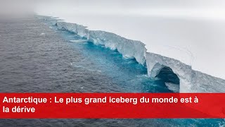 Antarctique  Le plus grand iceberg du monde est à la dérive [upl. by Robson]