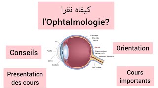 Conseils et orientations Module dophtalmologie  6 ème année Médecine [upl. by Florenza]