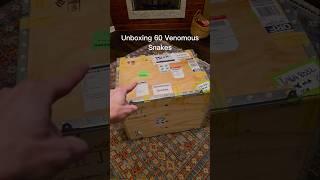 Unboxing 30000 worth of venomous snakes [upl. by Bork]