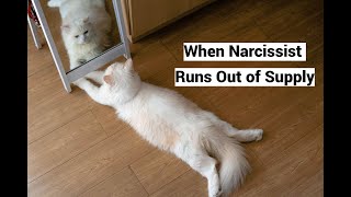 When Narcissist Runs Out of Supply Selfsupply Compilation [upl. by Maye]