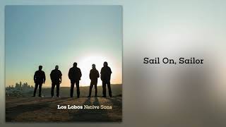 Los Lobos quotSail On Sailorquot from Native Sons [upl. by Tallu506]