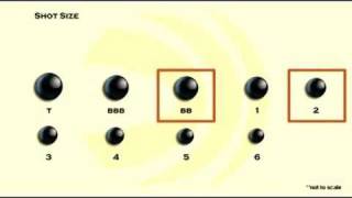 Choosing Shot Size [upl. by Devon]