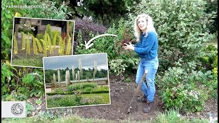 How to grow Eremurus Foxtail Lily bulbstubers  FarmerGracycouk [upl. by Adama909]