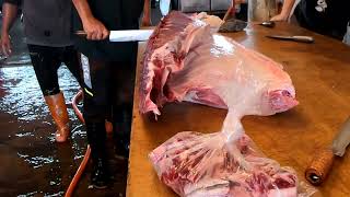 Unreal 310kg Bluefin Tuna Expertly Dissected with Cutting Skill in a Mere 3 Minutes [upl. by Ardys]