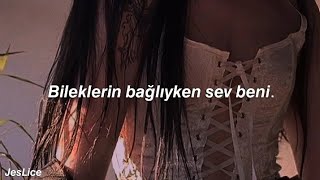 Kailee Morgue  Siren Türkçe Çeviri [upl. by Nore]