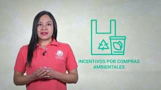 Conoce más acerca de EKONSULTING el servicio de consultoría ambiental de EKOSOLV [upl. by Rosario]